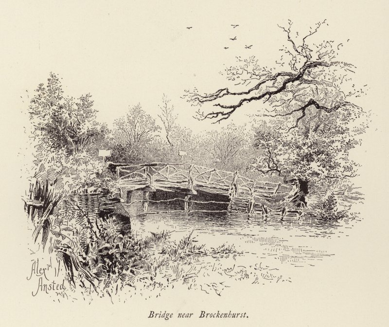 Brug bij Brockenhurst (gravure) door William Alexander Ansted