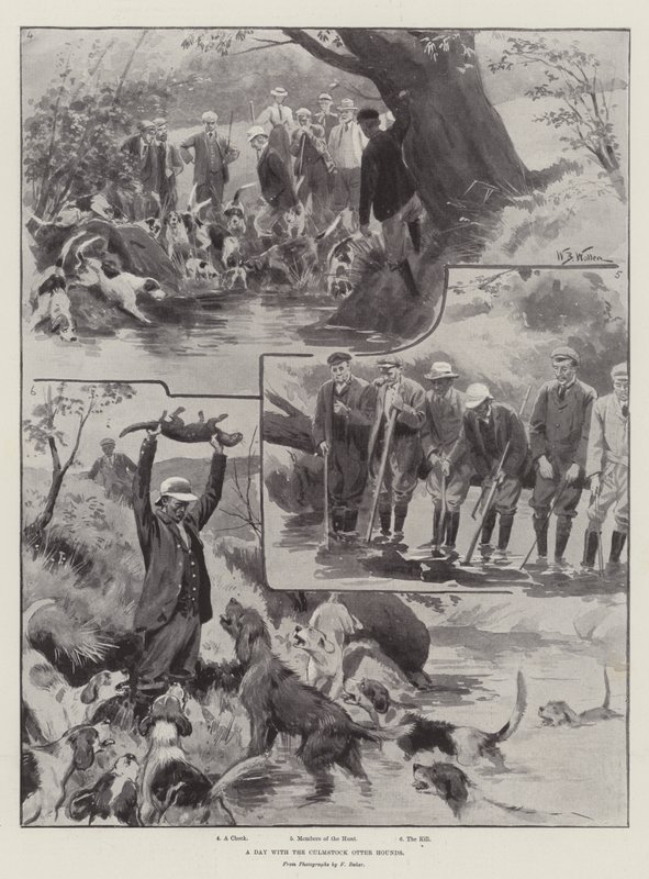 Een Dag met de Culmstock Otter Honden door William Barnes Wollen