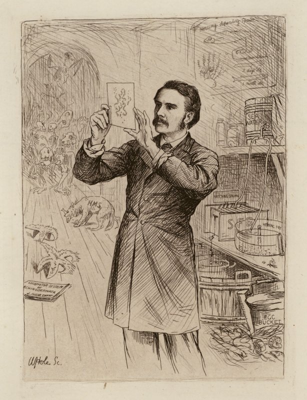 James Cossar Ewart, Professor van Natuurlijke Historie (gravure) door William Brassey (after) Hole