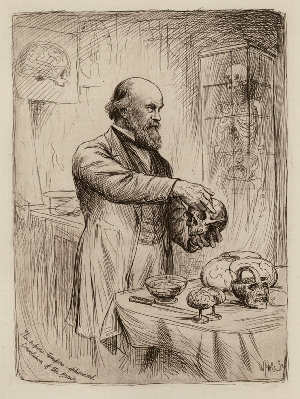 William Turner, Professor in Anatomie door William Brassey (after) Hole