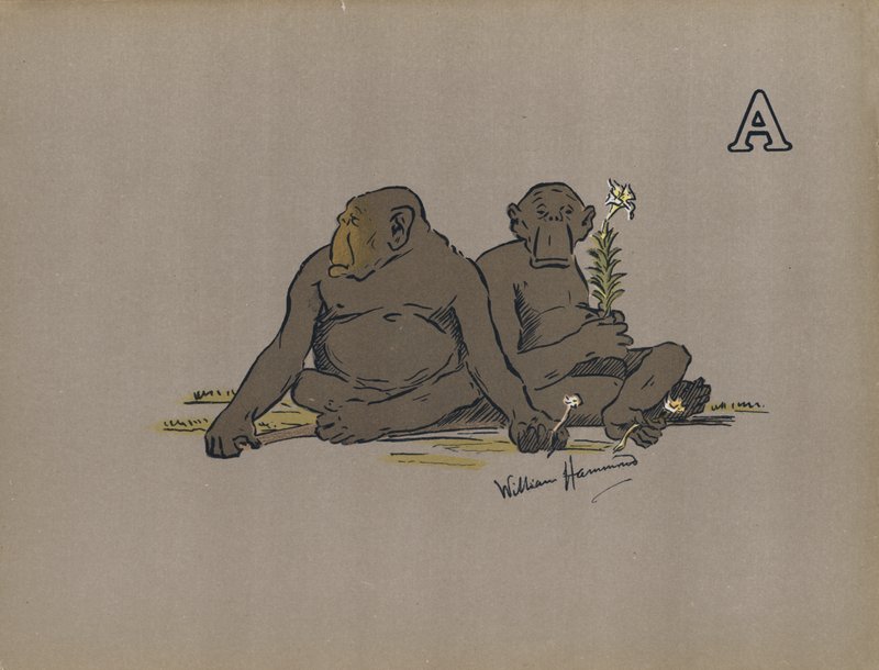 Letter A, Esthetische antropoïde apen die abnormaal apathische houdingen aannemen door William Hammond