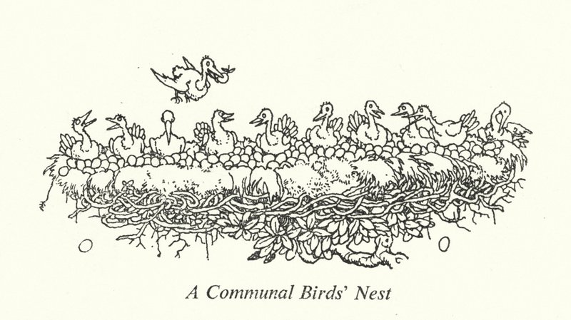 Een Gemeenschappelijk Vogelnest door William Heath Robinson