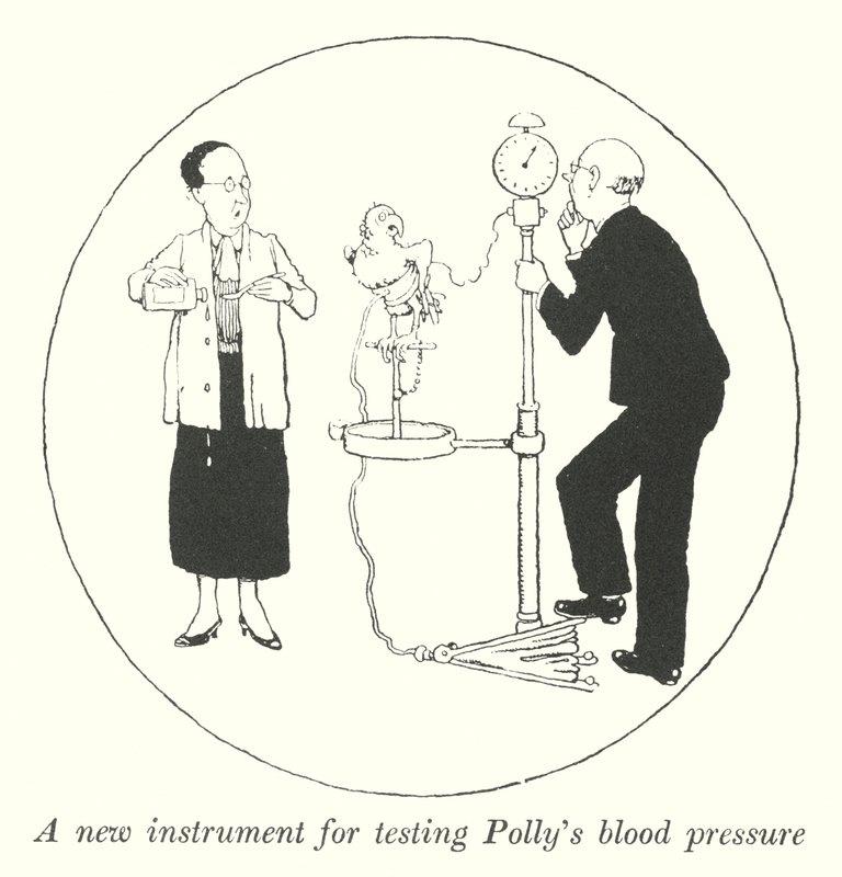 Een nieuw instrument om Polly