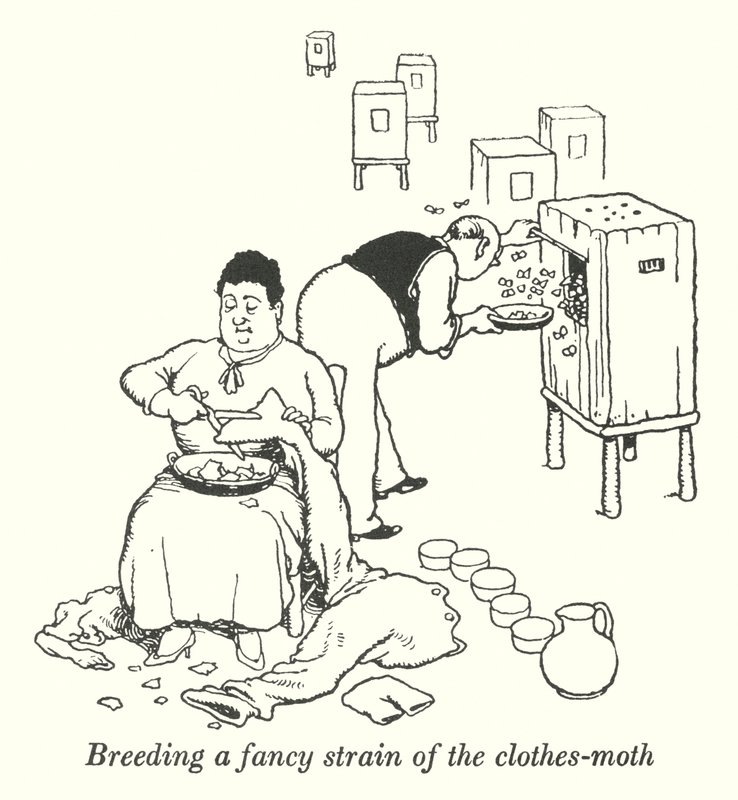 Het kweken van een bijzondere soort kleermot (litho) door William Heath Robinson