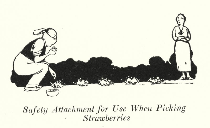 Veiligheidsbevestiging voor Gebruik bij het Plukken van Aardbeien door William Heath Robinson