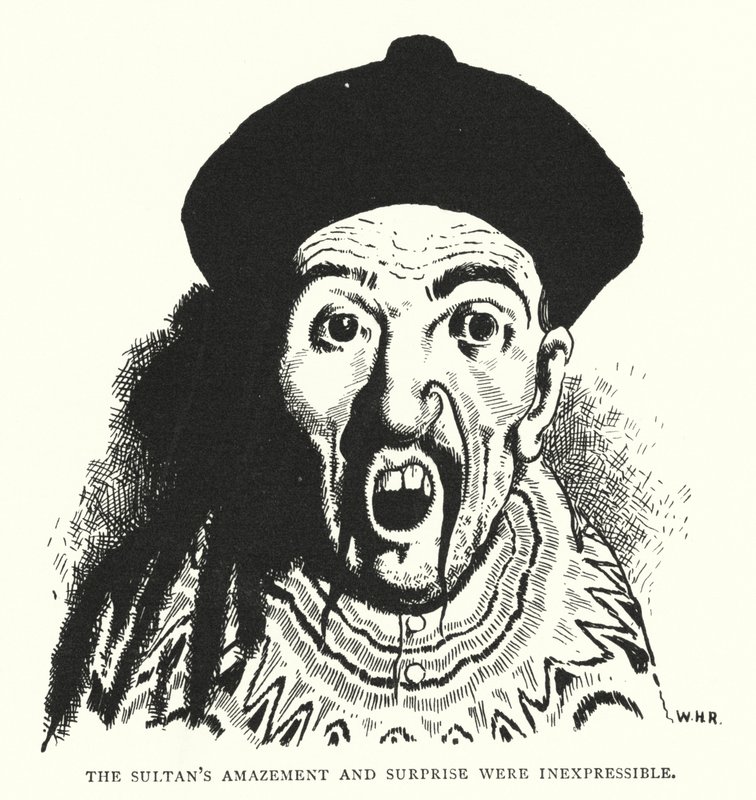 De verbazing en verrassing van de sultan waren onuitsprekelijk door William Heath Robinson
