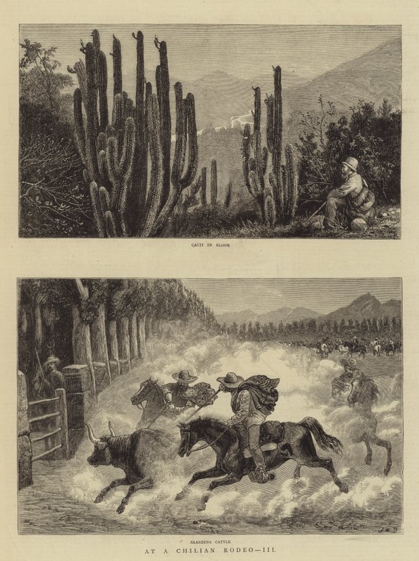 Bij een Chileense Rodeo, III door William Henry James Boot