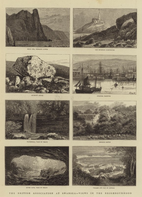 De Britse Vereniging in Swansea, uitzichten in de omgeving door William Henry James Boot