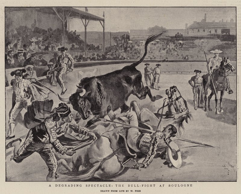 Een vernederend schouwspel, de stierengevecht in Boulogne door William Henry Pike