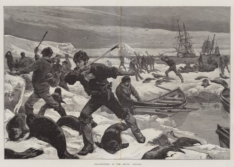 Zeehondenjacht in de Arctische Gebieden door William Heysham Overend