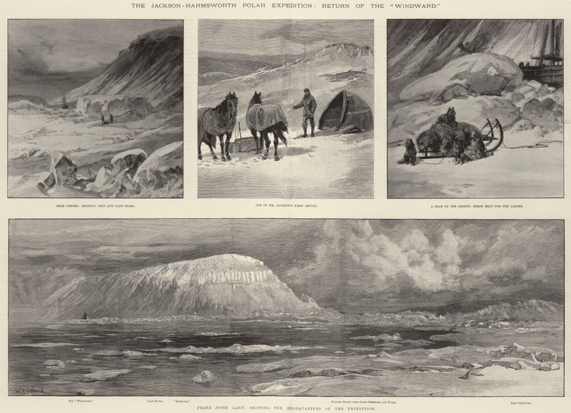 De Jackson-Harmsworth Pool Expeditie, Terugkeer van de Windward door William Heysham Overend