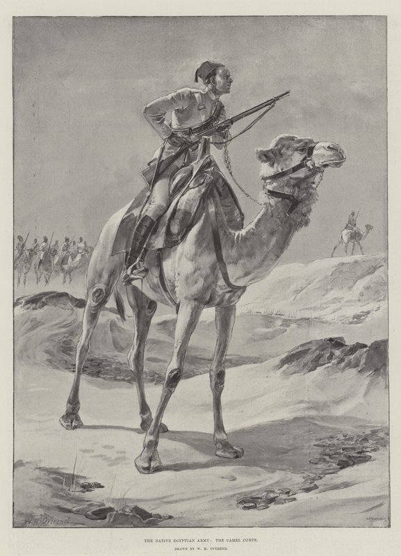 Het Inheemse Egyptische Leger, het Kameelkorps door William Heysham Overend