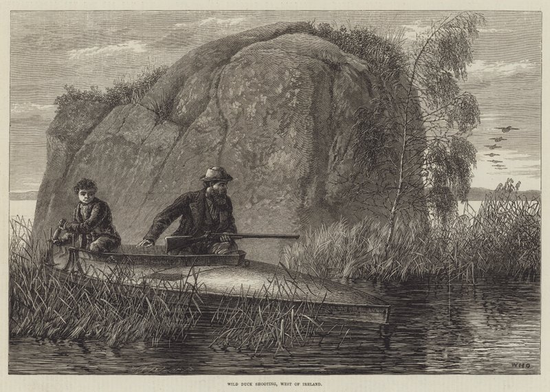 Eendenjacht, westen van Ierland door William Heysham Overend