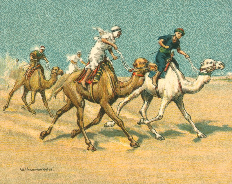 Historische en Moderne Races, Kameelraces (chromolitho) door William Hounsom Byles