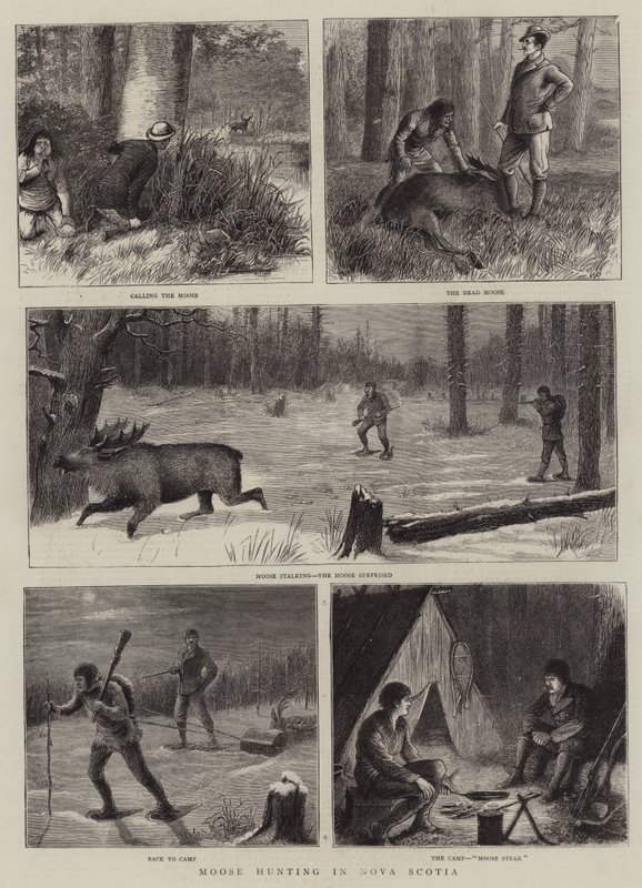 Elanden jagen in Nova Scotia door William Ralston