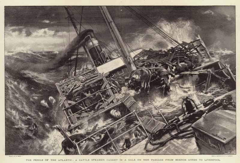 De gevaren van de Atlantische Oceaan, een veestoomboot gevangen in een storm op haar reis van Buenos Ayres naar Liverpool door William Small
