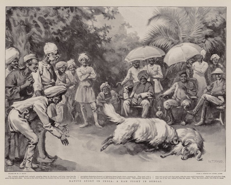 Inheemse Sport in India, een Ramgevecht in Bengalen door William T. Maud