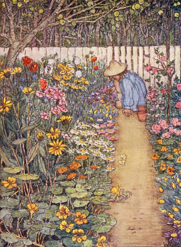 Kinderboek over tuinieren: Een kruidachtige border door Winifred Cayley Robinson