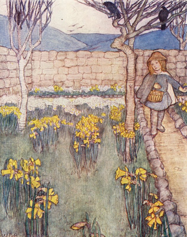 Kinderboek over Tuinieren: Narcissen door Winifred Cayley Robinson