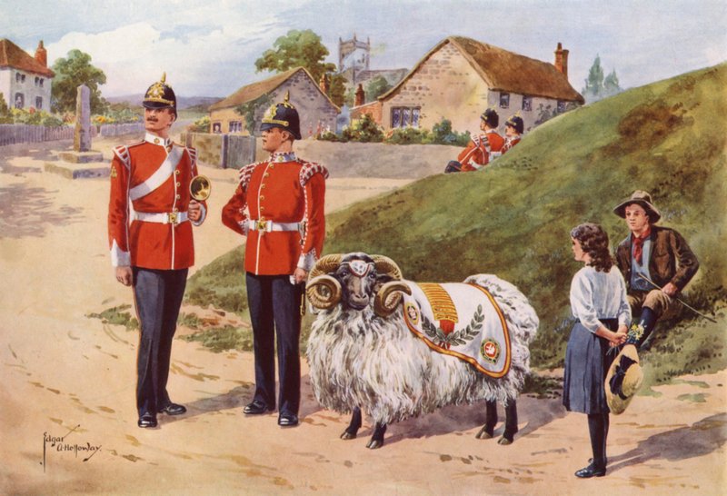 Derby Tom, de Huisram van de Sherwood Foresters door after Edgar Alfred Holloway