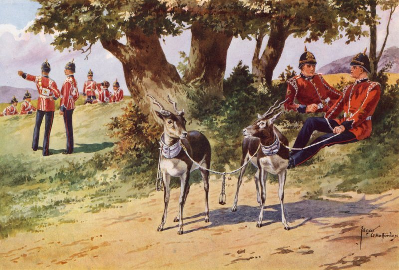 De Huisantilopen van het Royal Warwickshire Regiment door after Edgar Alfred Holloway