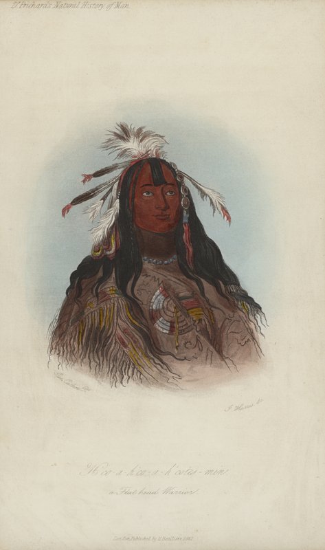 H?co-a-h?co-a-h?cotes-min, Een Platte Hoofd Strijder (aquatint) door after George Catlin