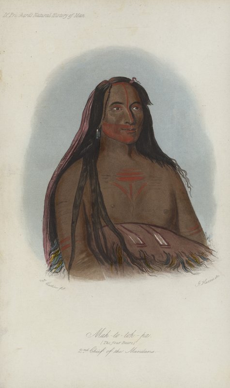 Mah-to-toh-pa, De Vier Beren, 2e Hoofdman van de Mandans (aquatint) door after George Catlin