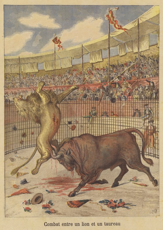Gevecht tussen een leeuw en een stier door after Henri Meyer