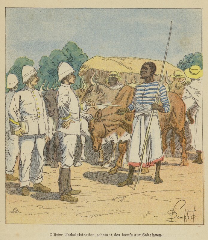 Administratieofficier koopt runderen van de Sakalava door after Louis Charles Bombled