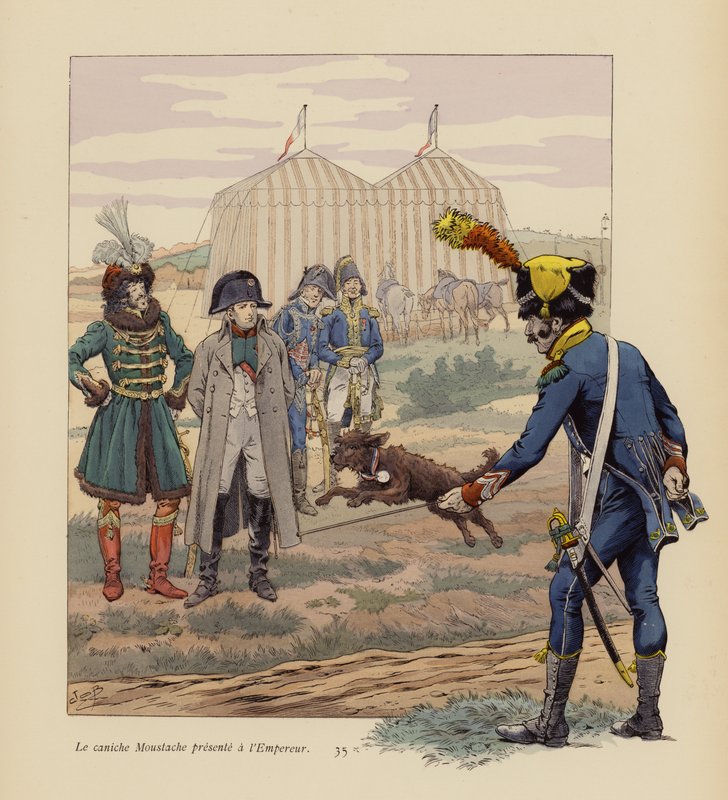 De hond Moustache gepresenteerd aan Napoleon door pseudonym for Onfray de Breville Jacques Job