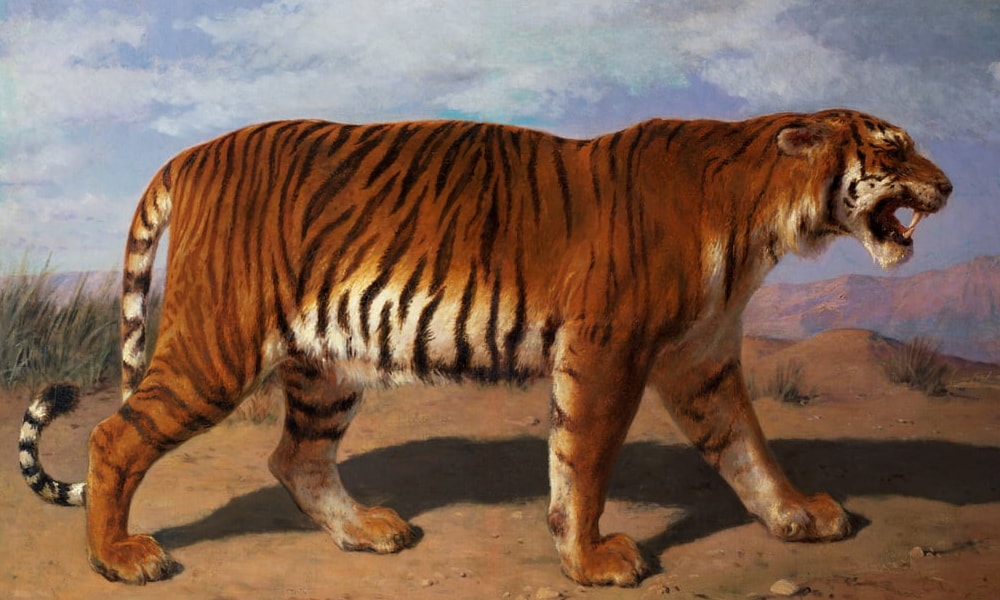 Wilde Dieren