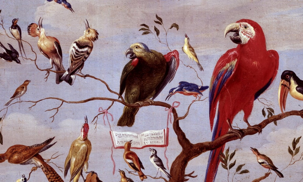 Vogels