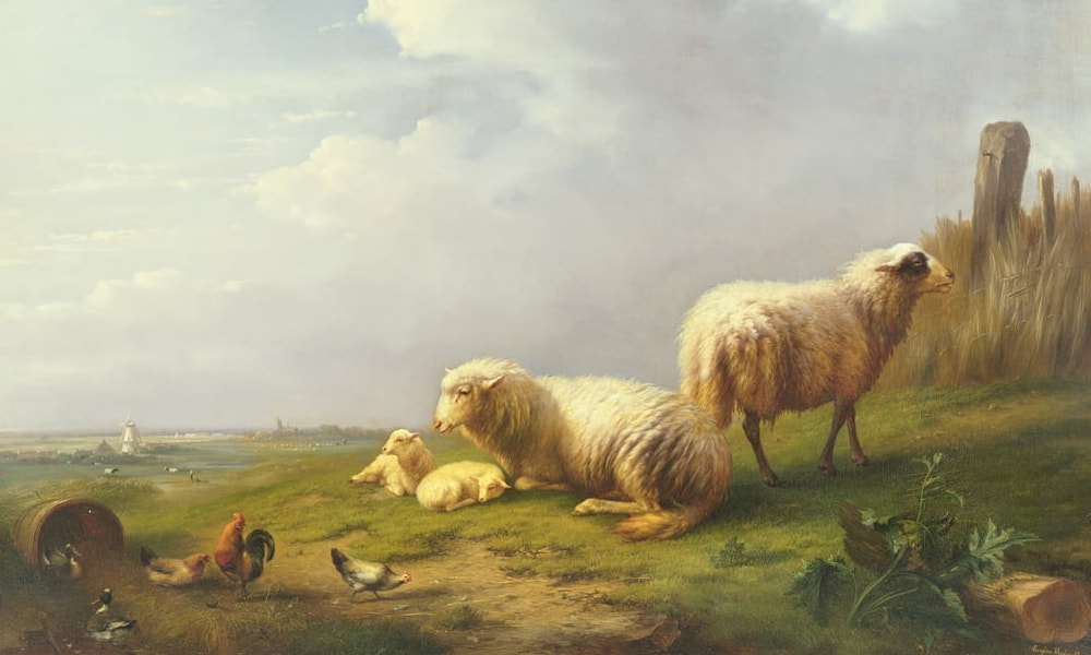 Boerderijdieren