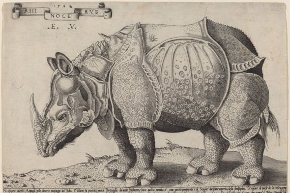 Enea Vico after Albrecht Dürer