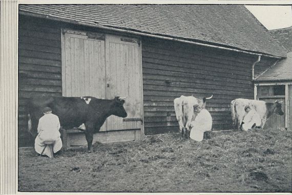 Pictorial Agency