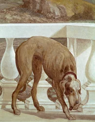 Hond op een balkon (detail)