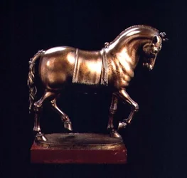 Paard
