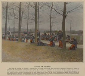 Gevechtslijn