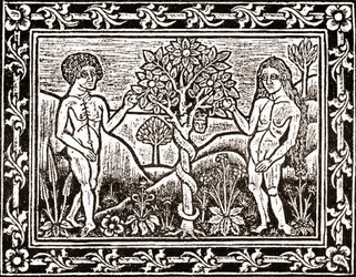 De Boom waarvan Adam de Appel at, facsimile uit een meditatieboek, het eerste boek gedrukt in Albi, Languedoc, in 1481
