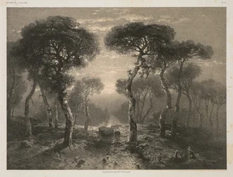 Oeuvres de A. Calame, No. 13: Forêt de Sierre en Valais, 1843 gepubliceerd 1851