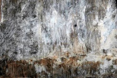 Landschap