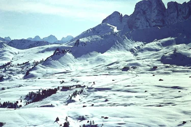 Sneeuwlandschap