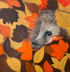 Schattige egel