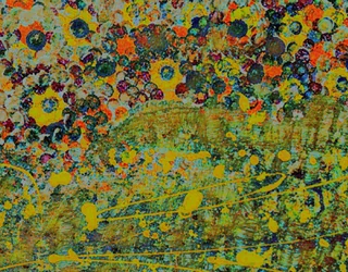 Bloemsymfonie.