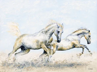 Arabische ridders