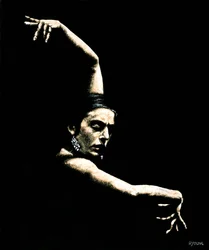 Flamenco Wapens