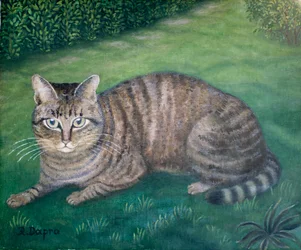 De kat Julia