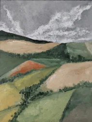 Heggen tussen velden