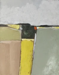 Regelmatige patroonvelden