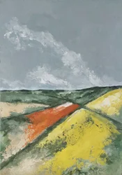 Heuvels en bloemenvelden